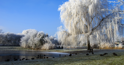 Vuelos KLM Chile destinos internacionales